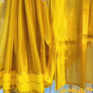 SUMMER POP (Combo 8)